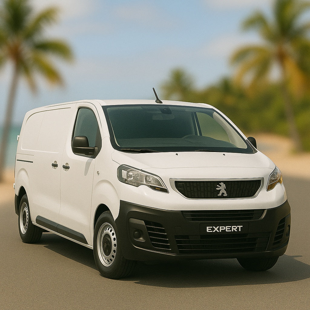 Peugeot Expert 4 kit de protection et aménagements UGF bois ou Polypro - Distribué par Cachalo